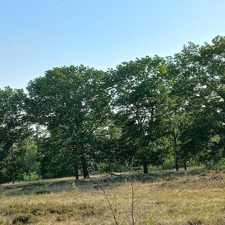 Vogelzang Vila Hattemerbroek Quarto foto