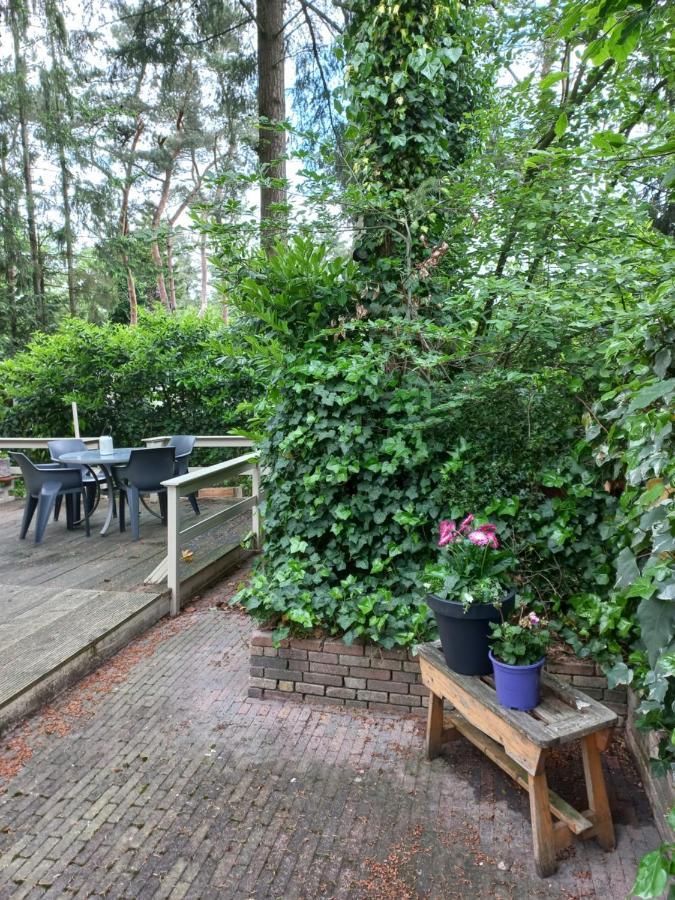 Vogelzang Vila Hattemerbroek Exterior foto